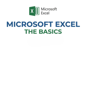 Microsoft Excel, The Basics